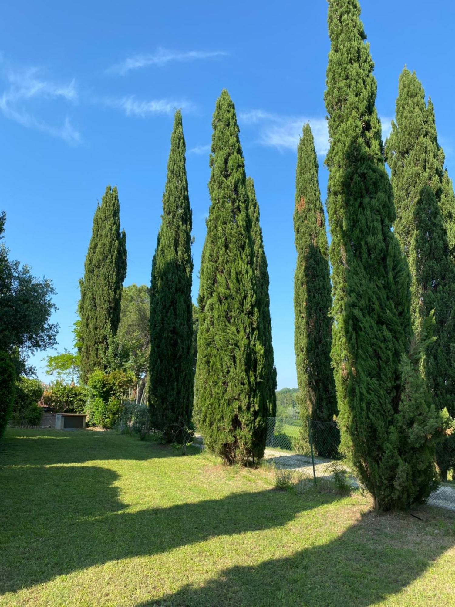 Villa Tre Colli - In The Heart Of Tuscany Certaldo Buitenkant foto