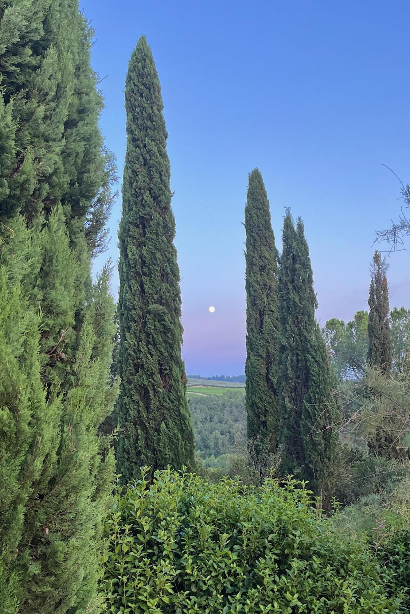 Villa Tre Colli - In The Heart Of Tuscany Certaldo Buitenkant foto